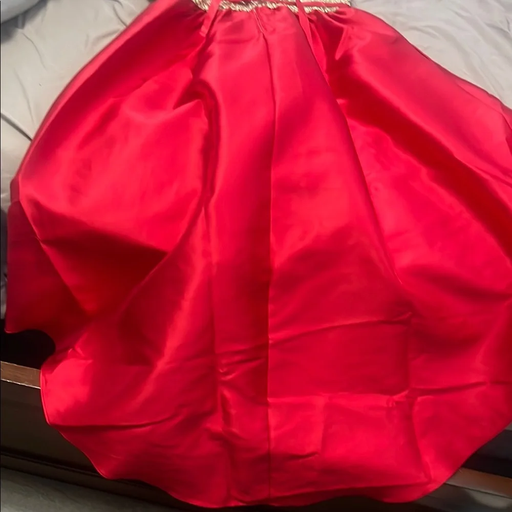 Rare Editions Red and Cream Pleated Gown for Weddings - Picture 4 of 4